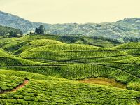 Điều khoản bảo hành